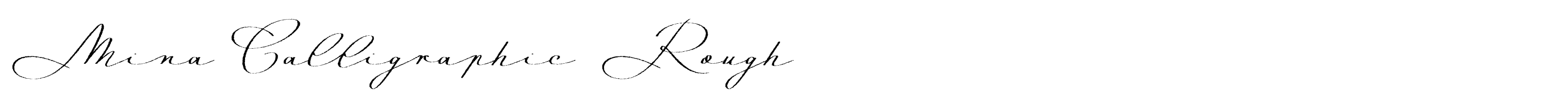 Mina Calligraphic Rough